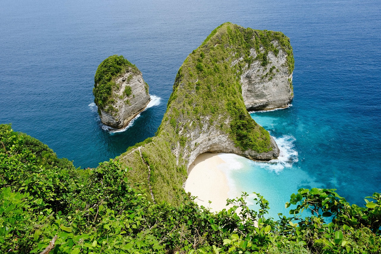 bali, indonesia, kelingking, nature, sea, island, tree, forest